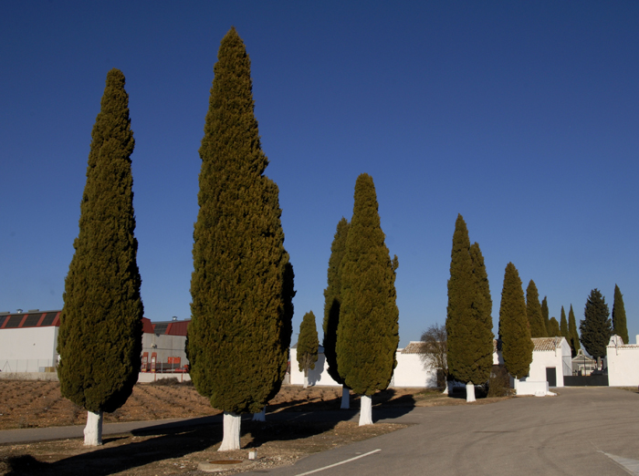 Horario del cementerio municipal con motivo de la proximidad de la festividad de Todos los Santos