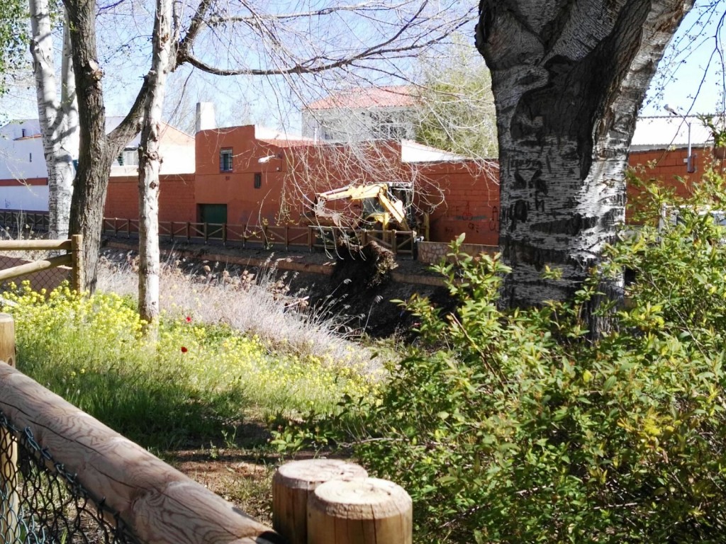 Limpieza y acondicionamiento del tramo del río Záncara a su paso por El Provencio