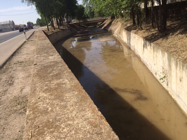 Concluida la primera fase de limpieza y acondicionamiento del río Záncara a su paso por El Provencio