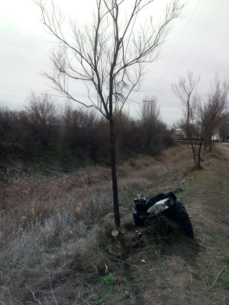Limpieza de la ribera del río Záncara